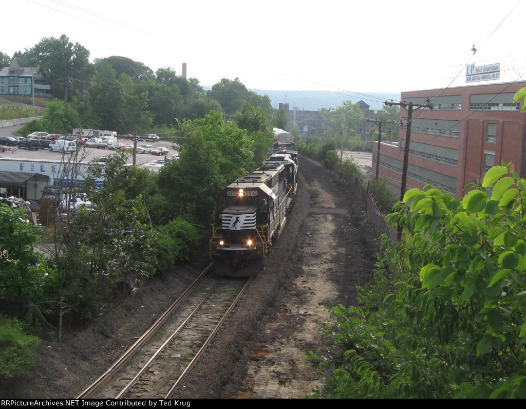 NS 2503, 8845 & 8974